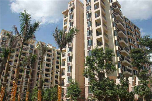 榨油机加盟招商项目有哪些，榨油机经销商