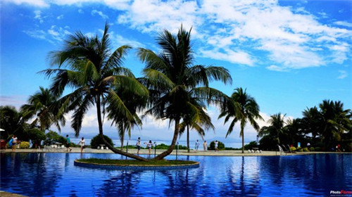 仁寿县柜子加盟投资创业哪些品牌好，仁寿县家具厂