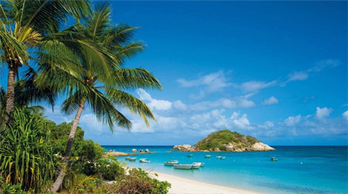 银川传统辣条加盟费多少钱，银川 辣条