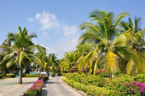 压路机加盟创业好项目推荐