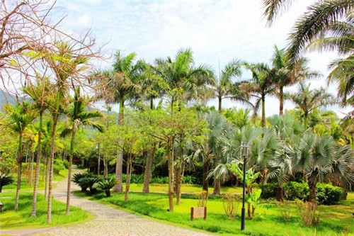 重庆100平火锅店设计