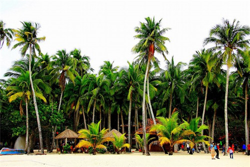 冒大仙冒菜在名山县市场还有前景吗