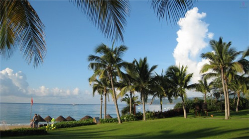 毛豆炒烂肉怎么炒好吃（毛豆炒烂肉怎么炒好吃视频）