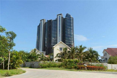 刷玫瑰花的跳舞小游戏叫什么（口含玫瑰花怎么跳舞）